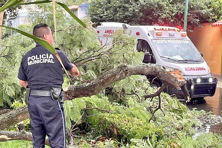 Tras intensa lluvia se activa respuesta inmediata de las brigadas municipales en la capital